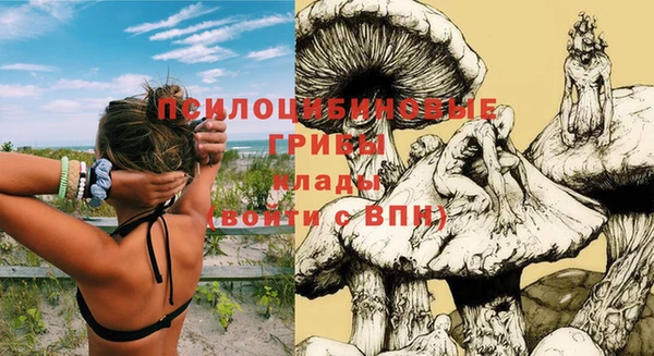 тгк Михайловск