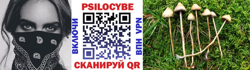 наркотики  Томилино  Псилоцибиновые грибы ЛСД 